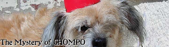 Chompo: The One-Eyed Dog